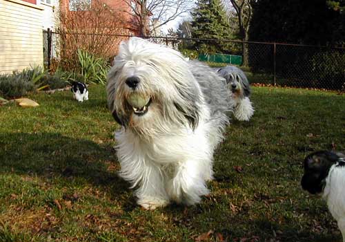 ruby_run.jpg (46370 bytes)